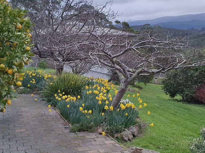 Nandroya Estate, Margate, Tasmania