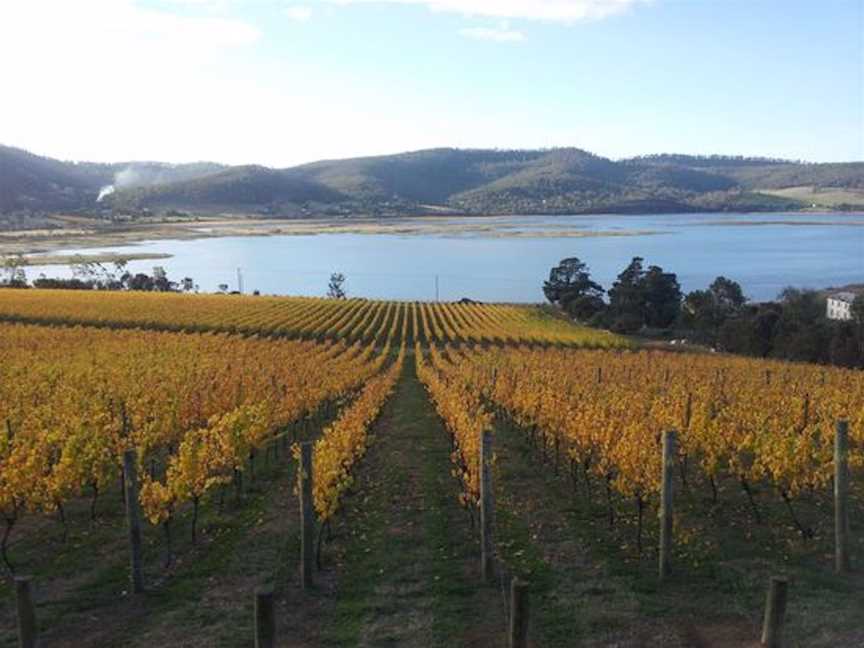 Derwent Estate, Wineries in Granton