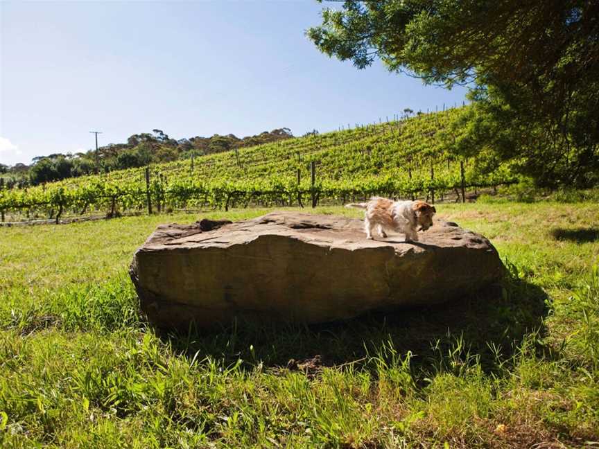 Bendbrook Wines, Wineries in Macclesfield