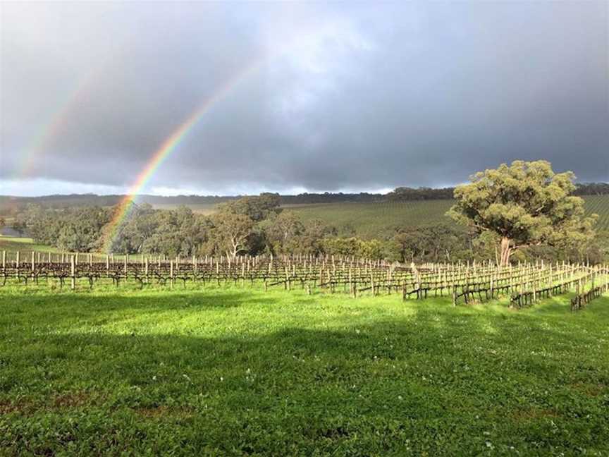 Griffin Wines, Wineries in Kuitpo