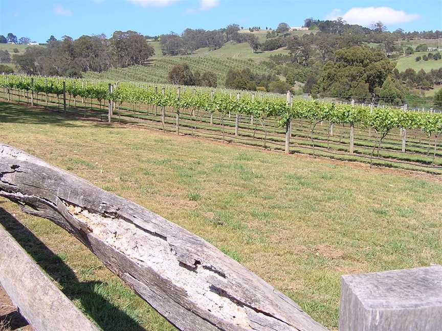 Diamond Creek Estate, Wineries in Bowral