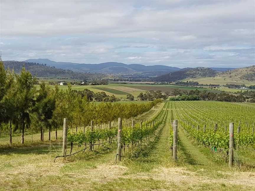 Tolpuddle Vineyard, Wineries in Richmond