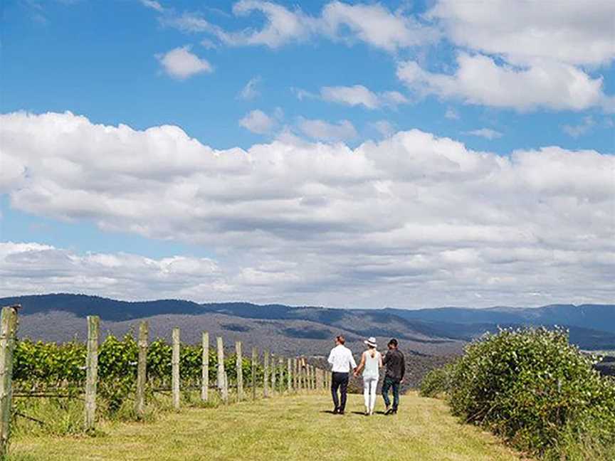 Obsession Wines, Wineries in Tumbarumba