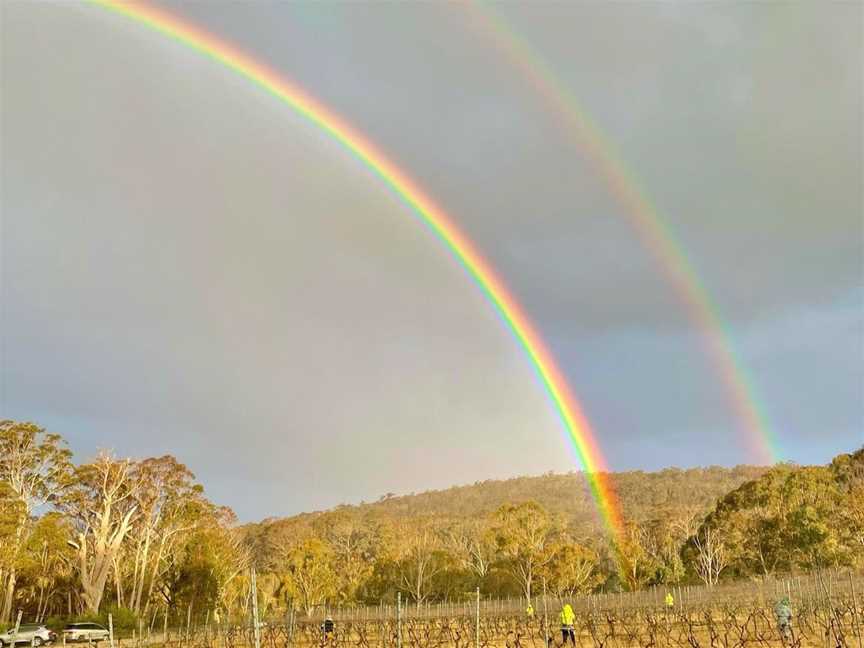 Artemis Wines, Wineries in Mittagong