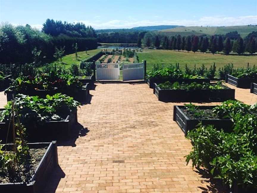 Howards Lane Vineyard, Wineries in Welby