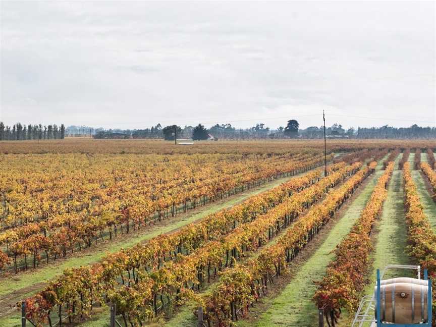 Brand’s Laira Coonawarra, Wineries in Coonawarra