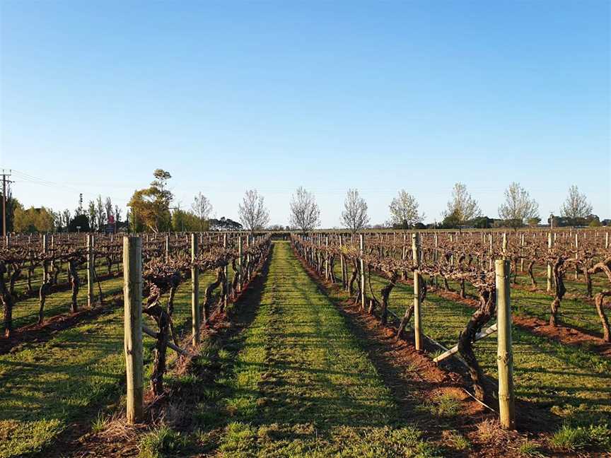 Jack Estate, Wineries in Coonawarra