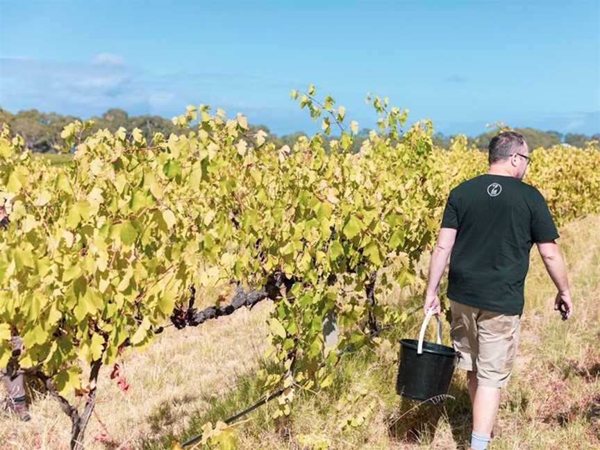 Zonte's Footstep, Wineries in McLaren Flat