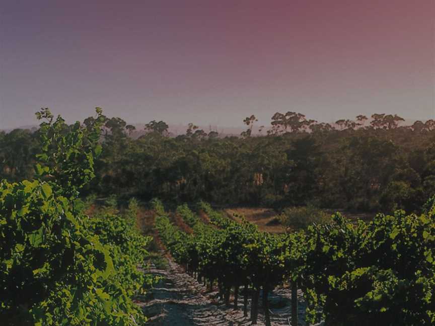 Hardy's Tintara, Wineries in McLaren Vale