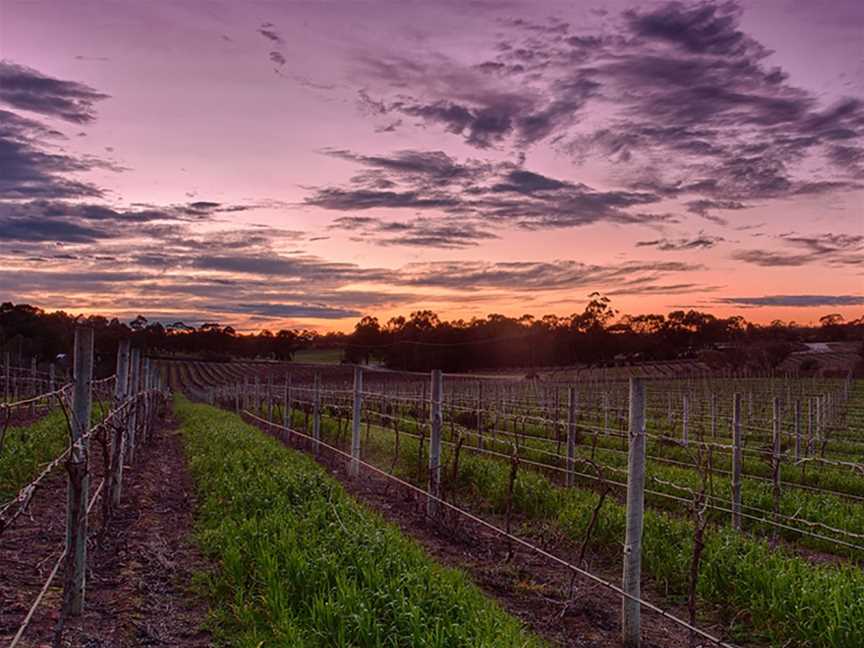 Curator Wine Company, Wineries in Marananga