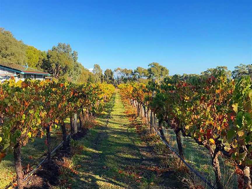 Dabblebrook Wines, Wineries in Sellicks Hill