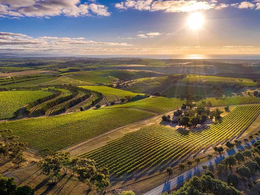 Dandelion Vineyards, Wineries in McLaren Vale