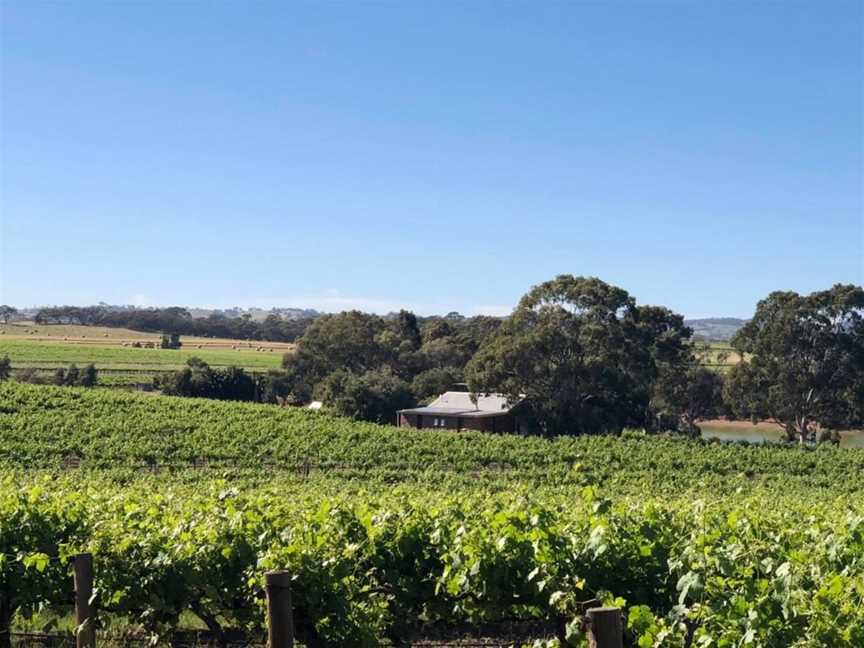 Stonewell Vineyards, Wineries in Tanunda