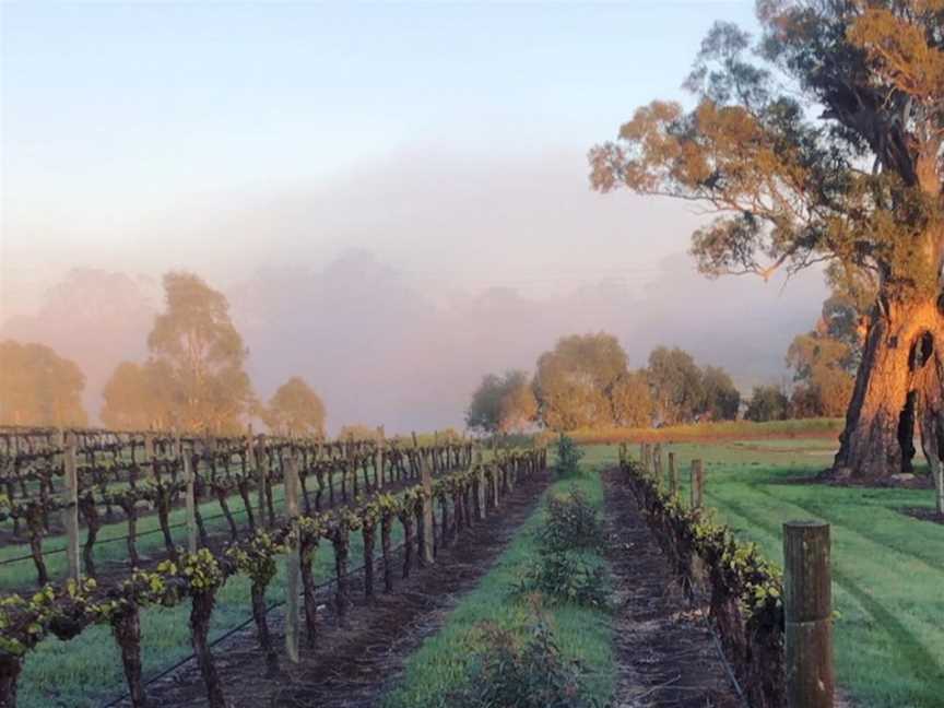 Sons of Eden, Wineries in Angaston