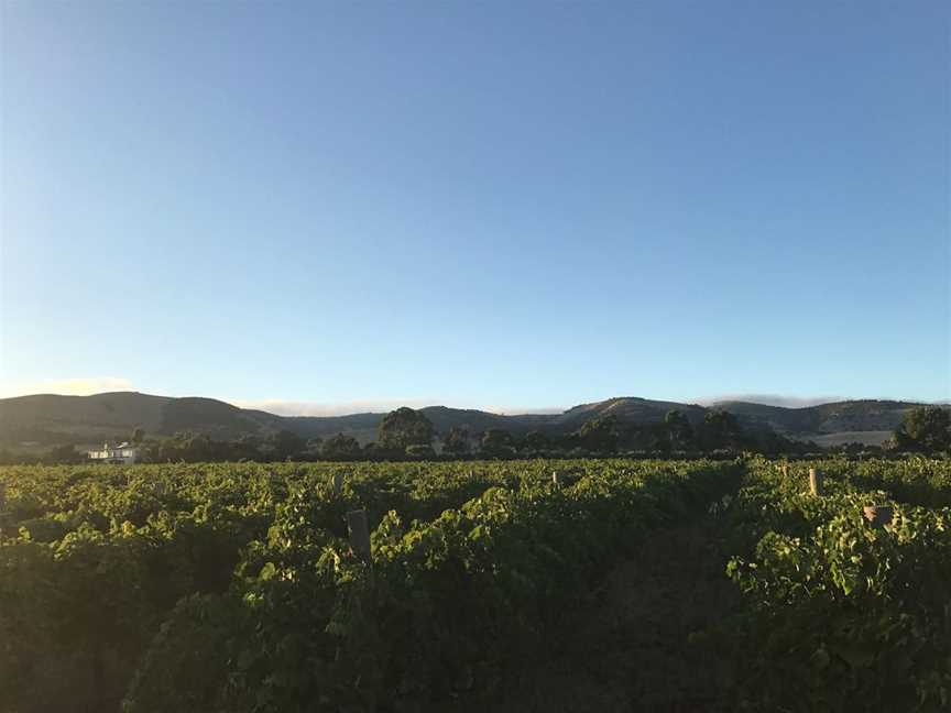 Silent Noise, Wineries in McLaren Flat