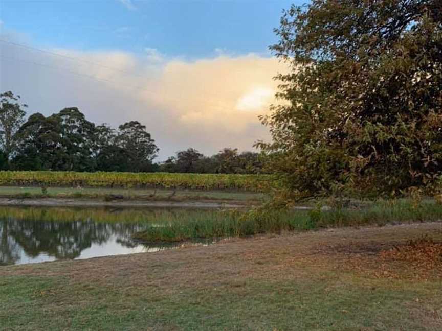 Karina Vineyard, Wineries in Dromana