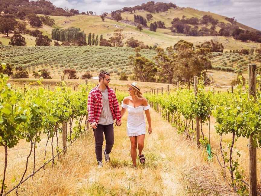 McIvor Creek, Wineries in Heathcote