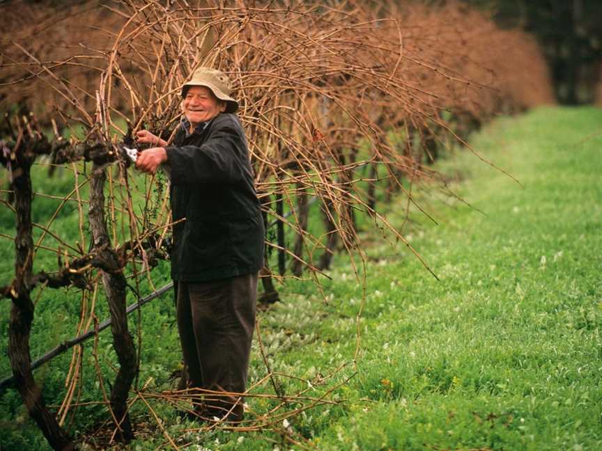 Barrecas Wines, Wineries in Donnybrook