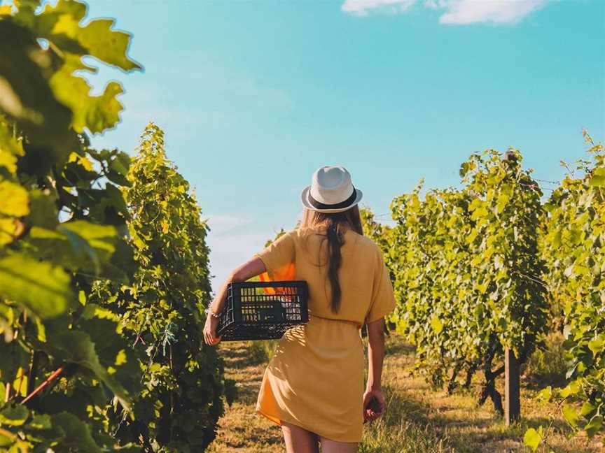 Red Deer Station, Wineries in Tanunda