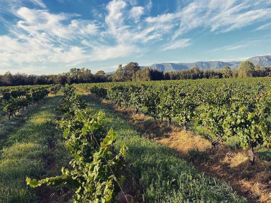 Silkman Wines, Wineries in Pokolbin