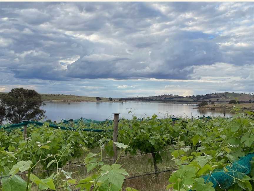 Lake Cairn Curran Vineyard, Wineries in Welshmans Reef