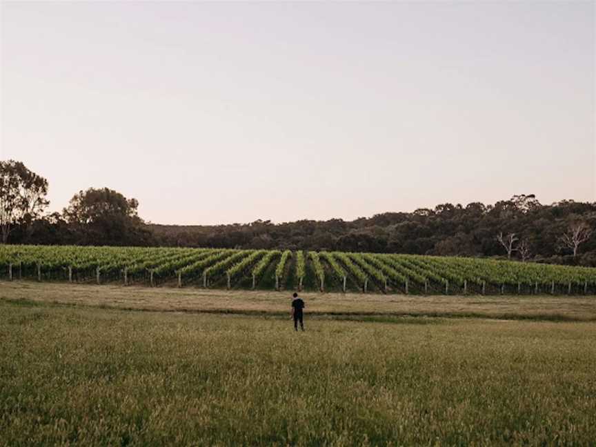 L.A.S Vino , Wineries in Margaret River