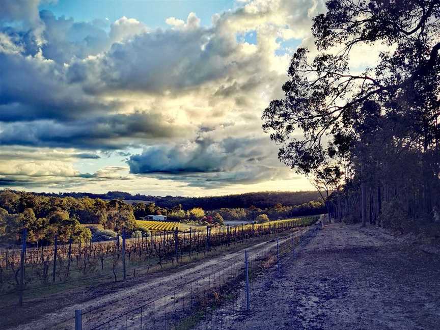 Zein Estate, Wineries in Brookhampton