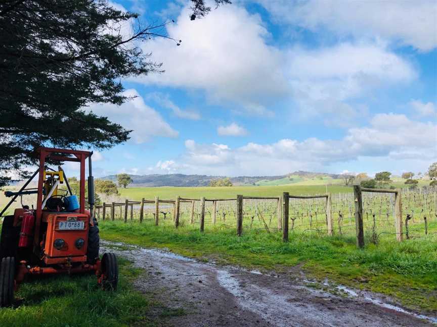 Rowanston Vines, Wineries in Glenhope