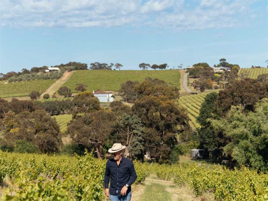 Pannell Enoteca, Wineries in McLaren Vale