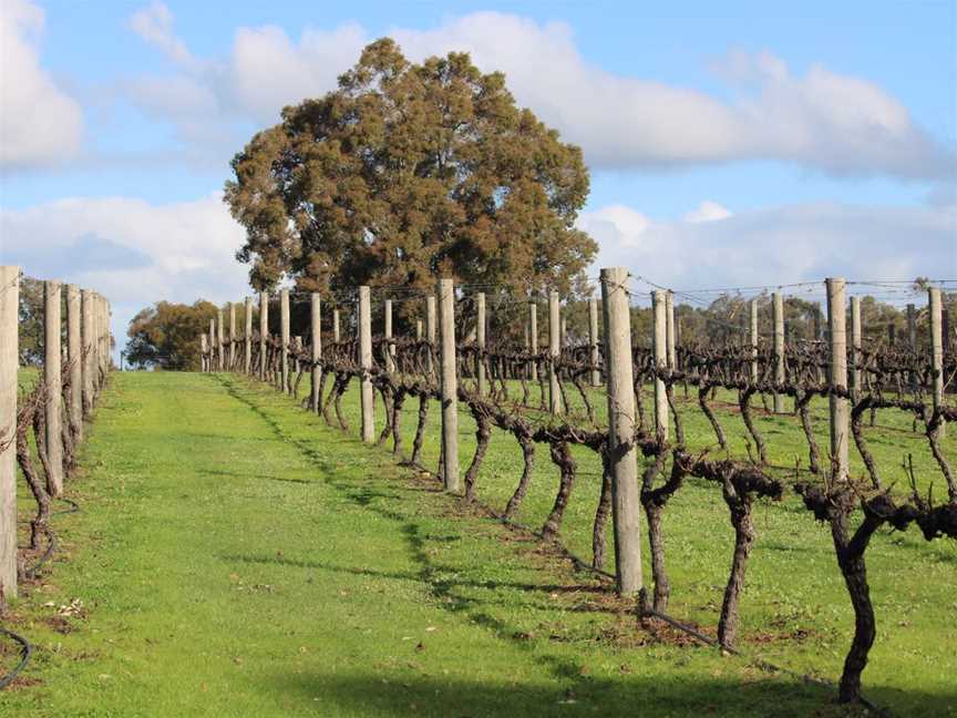 Dunmovin Estate Vineyard, Wineries in Catterick