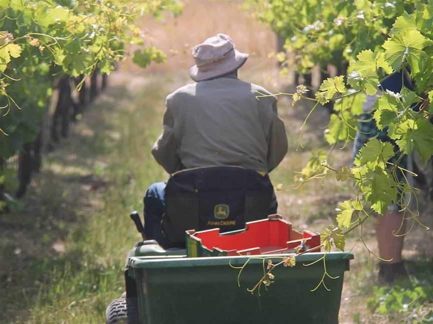 Kafarela's Vineyard, Wineries in Herne Hill