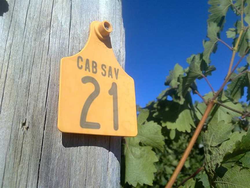 Thompson Estate Vineyard, Wineries in Wilyabrup