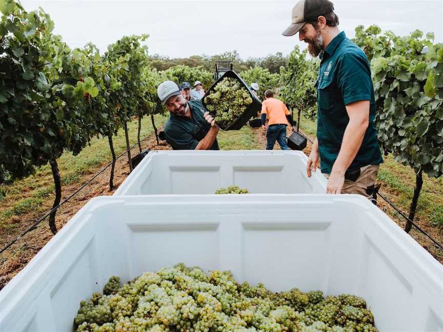 Robert Stein Vineyard, Wineries in Mudgee