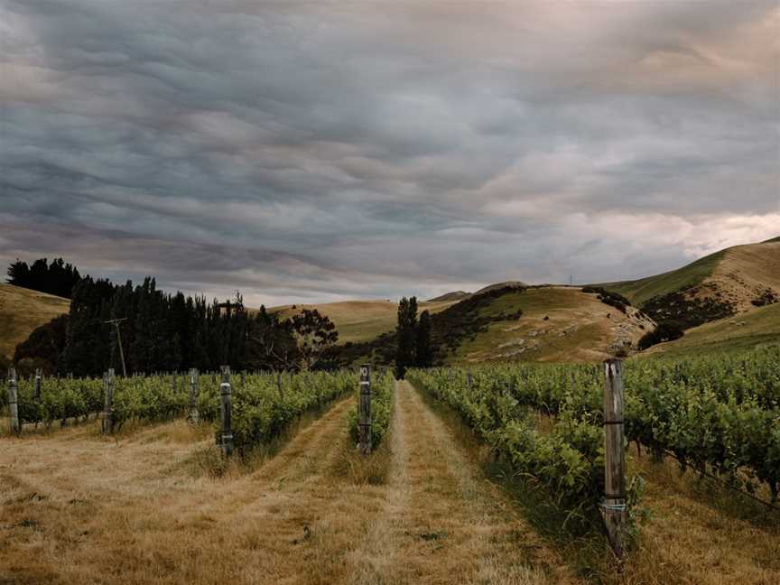 Antills, Amberley, New Zealand