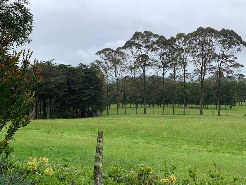 Cottle Hill Winery, Kerikeri, New Zealand