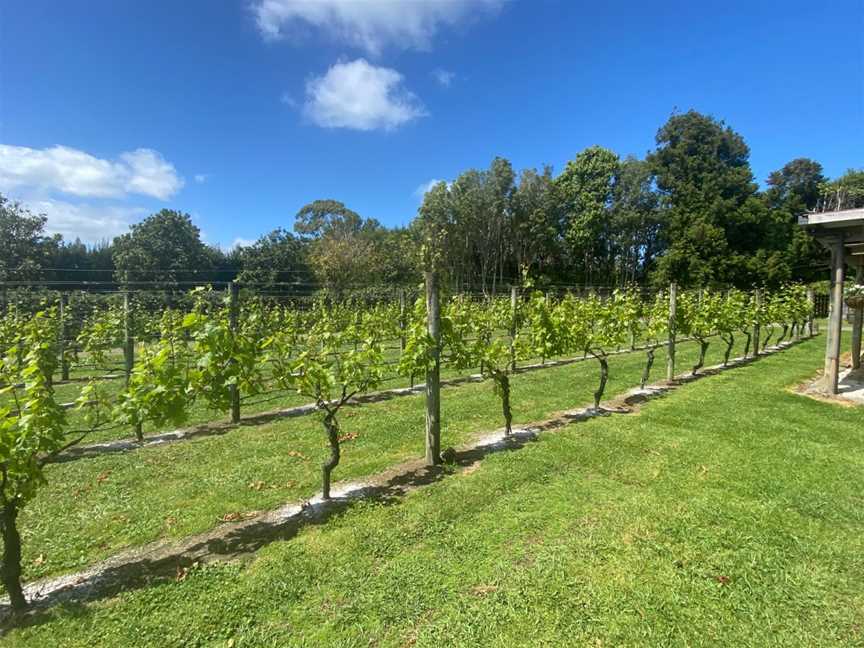 Fat Pig Vineyard, Waipapa, New Zealand