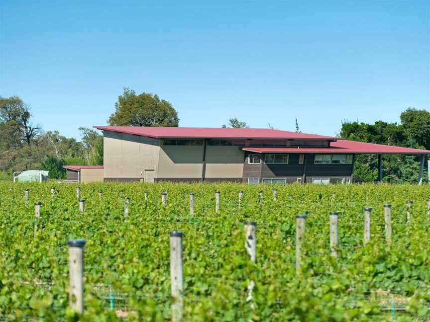 Gladstone Vineyard, Gladstone, New Zealand