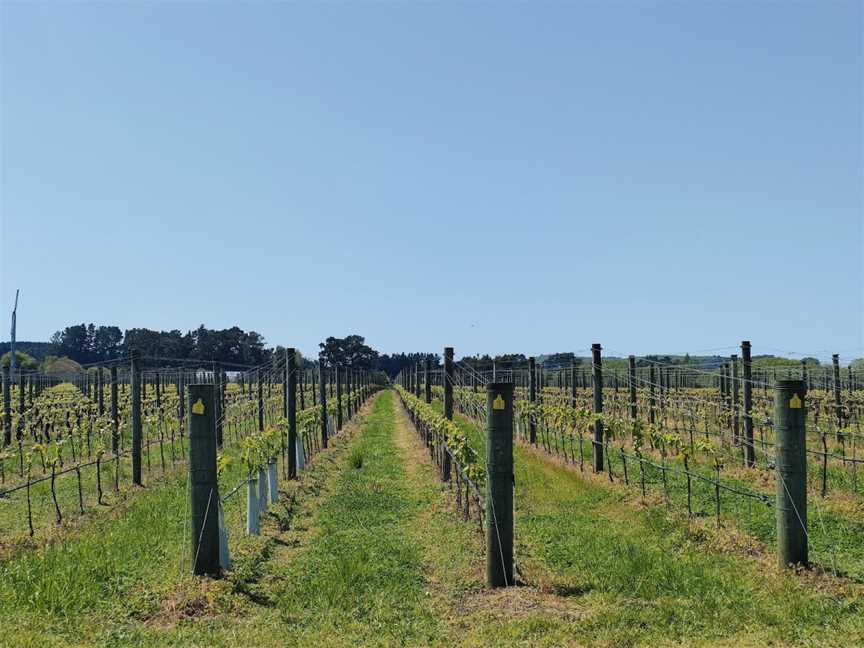 Johner Estate, Masterton, New Zealand