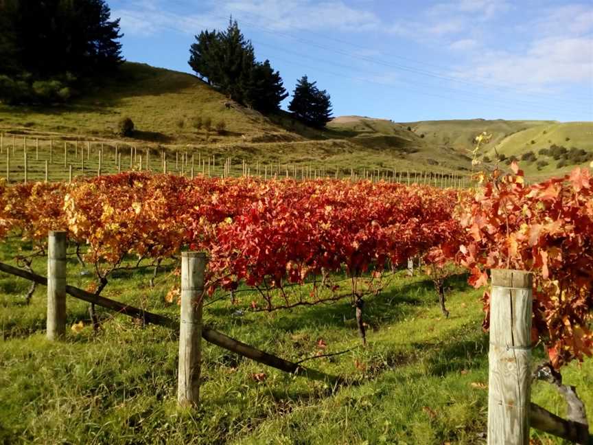 Linden Estate Winery, Esk Valley, New Zealand