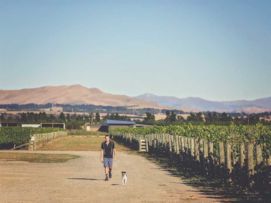 Mount Brown Estates, Amberley, New Zealand