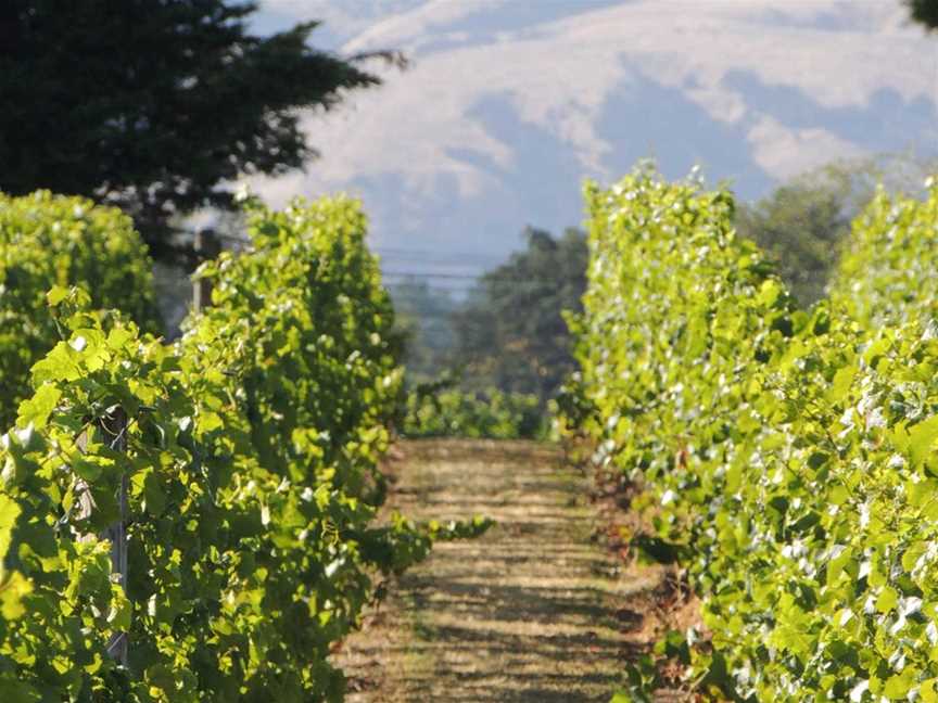 Muirlea Rise, Martinborough, New Zealand