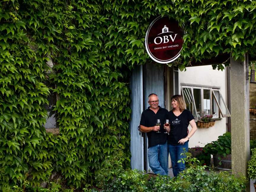 Omaha Bay Vineyard, Matakana, New Zealand