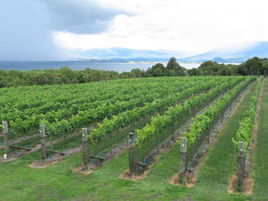 Omori Estate, Turangi, New Zealand