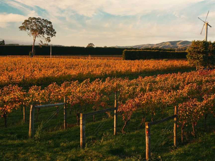 On Giants' Shoulders, Martinborough, New Zealand