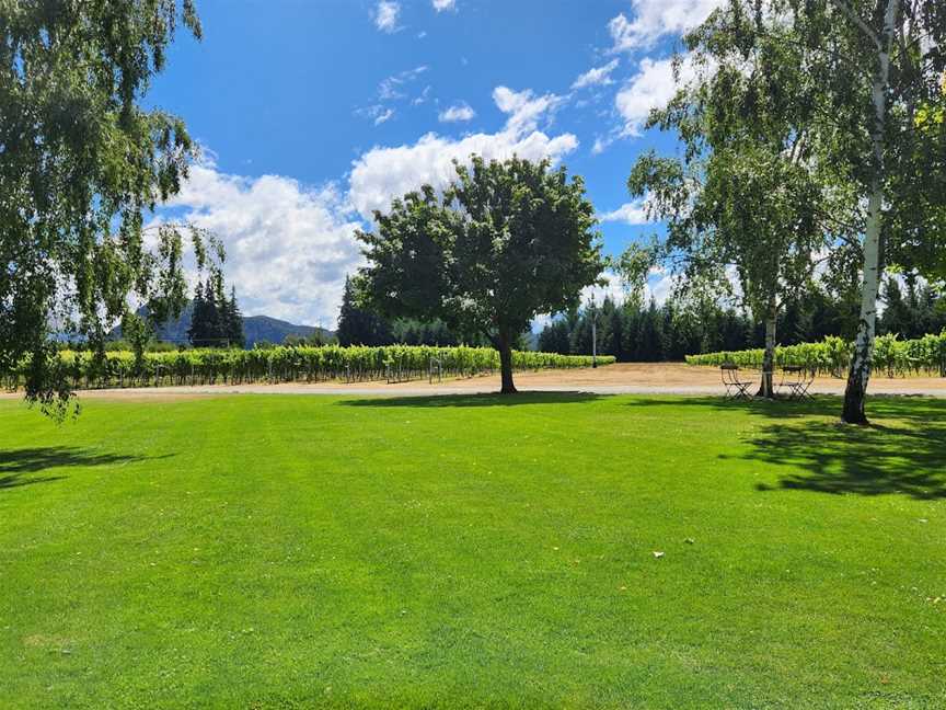 Paddons Paddock Ltd - Winery, Wanaka, New Zealand