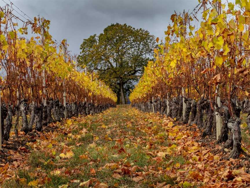 Riverby Estate, Blenheim, New Zealand