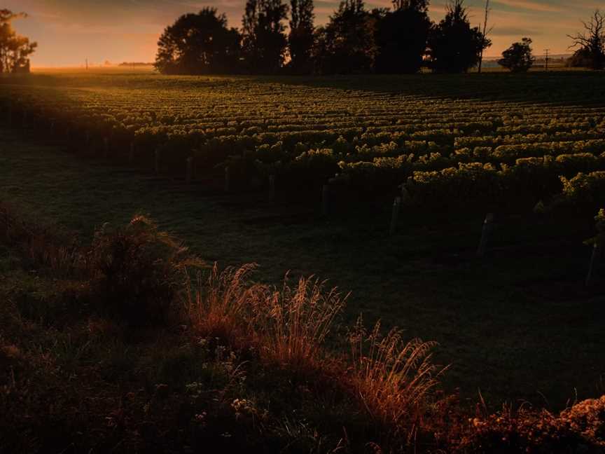 Rose Family Estate, Rapaura, New Zealand