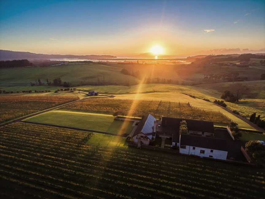 Takatu Vineyard, Matakana, New Zealand