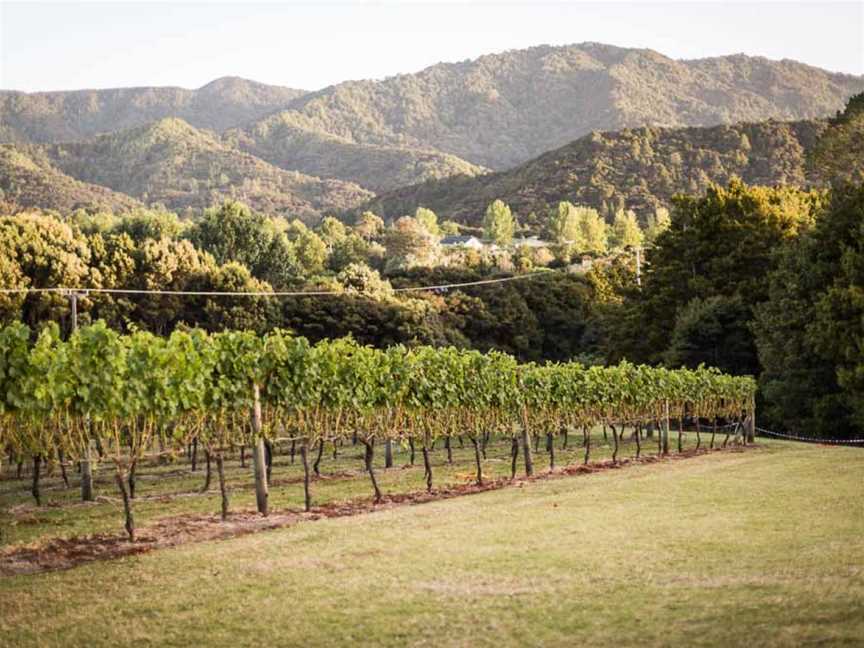 Te Whai Bay Wines, Mangawhai, New Zealand