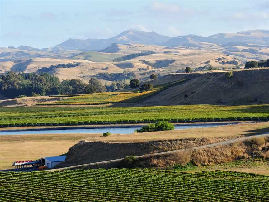 The Elder Pinot, Martinborough, New Zealand